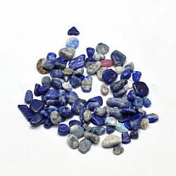 Lapis lazuli naturale perline di chip, pietra burrattata, Senza Buco, 3~5x2~4mm, circa 4300pcs/500g