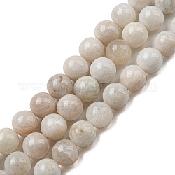Brins de perles de pierre de lune arc-en-ciel naturel, grade AB, ronde, 10mm, Trou: 0.8mm, Environ 39 pcs/chapelet, 15.35 pouce (39 cm)
