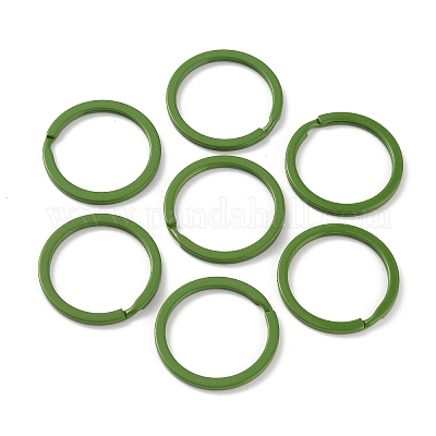 Окрашенные аэрозольной краской железные застежки для ключей IFIN-WH0063-13I-1