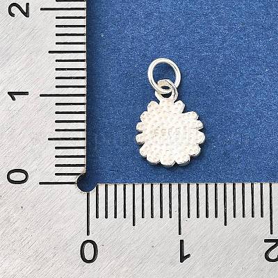 925 серебряный шарм STER-Q003-01A-S-1