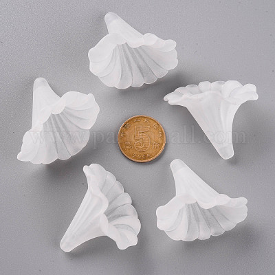 Прозрачные акриловые бусины BSF796-1