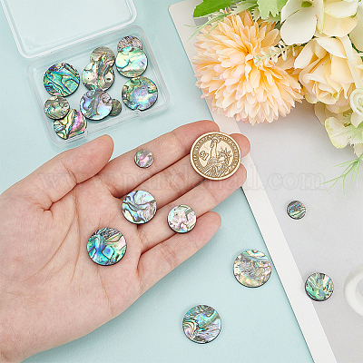 20 шт. 4 стиля натуральных кабошонов из ракушек абалона/пауа SHEL-WR0001-07-1