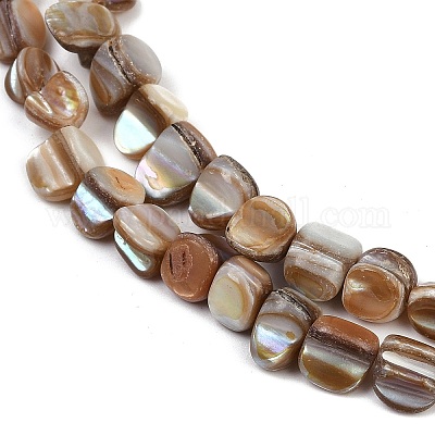 Нити бусин из натуральной ракушки трохус&nbsp;BSHE-Q050-01B-1