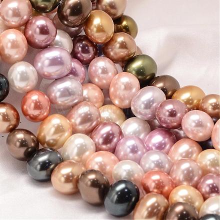 Dyed Shell Pearl Bead Strands BSHE-L013-S-L-1