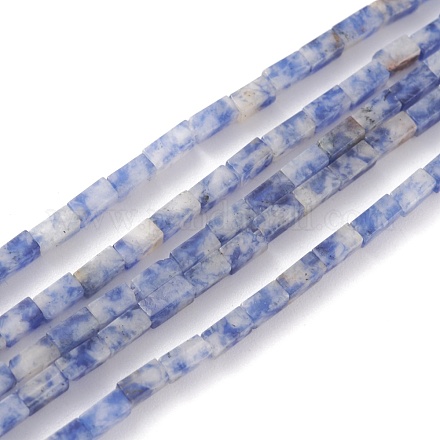 Fili di perle di diaspro macchia blu naturale G-C301-02-1