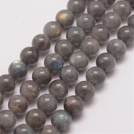 Chapelets de perles en labradorite naturelle G-P259-03-8mm-1