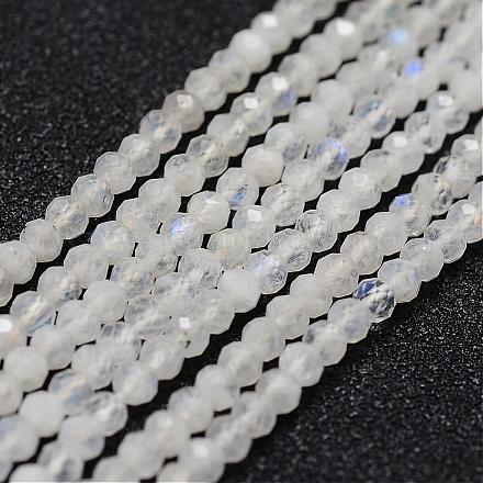 Chapelets de perles en labradorite naturelle G-P271-3mm-06-1