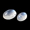 Natural Rainbow Moonstone Cabochons, Grade AA, Oval, 15~20x11~15x6~8mm