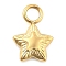 Ion Plating(IP) 304 Stainless Steel Charms, Star, Real 14K Gold Plated, 11.5x7.5x2.5mm, Hole: 2.5mm