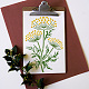 FINGERINSPIRE Fennel Stalk Flower Painting Stencil 8.3x11.7inch Reusable Wildflower Stencil Large Flower Stencil Flower Pattern Plant Theme Template for Wall Wood Furniture DIY Home Decoration DIY-WH0396-669-4