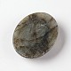 Labradorite naturelle pierres précieuses ovales cabochons G-J329-01-18x25mm-3