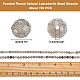 ARRICRAFT Faceted Round Natural Labradorite Bead Strands G-AR0002-72-2