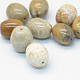Drum Natural Fossil Coral Beads G-R347-06-1