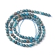 Natural Apatite Beads Strands X-G-L554-01-4mm-3