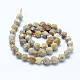 Natural Fossil Coral Beads Strands G-F523-23-8mm-2