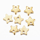 304 Stainless Steel Charms STAS-H557-25G-2
