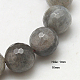 Natural Labradorite Beads Strands G-G213-16mm-03-1