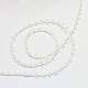 Trasparenti cavi perle di seme OCOR-R039-L02-2