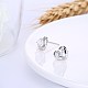 Exquisite 925 Sterling Silver Cubic Zirconia Stud Earrings EJEW-BB20047-5