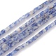 Brins de perles de jaspe de tache bleue naturelle G-C301-02-1