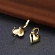 Classic Tin Alloy Leverback Earrings EJEW-BB20927-4
