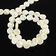 Flat Round Natural White Shell Beads Strands BSHE-Q025-02-2