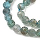 Природного апатита нитей бисера G-RM250101-D1-A-4