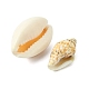 6 styles de perles de coquillages mélangées naturelles BSHE-FS0001-04-2
