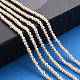Natural Cultured Freshwater Pearl Beads Strands PEAR-R065-26-5