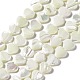 Fili di perle di conchiglia trochid naturale / trochus SHEL-F003-08A-1