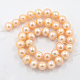 Grade A Freshwater Pearl Beads Strands A02S6027-1