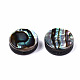 Natural Abalone Shell/Paua Shell Beads SSHEL-T014-14B-2