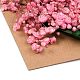 Fiore essiccato DIY-B018-10-2