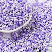 Выпечка краска стеклянные бусины SEED-C003-01G