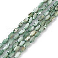 Натуральные пресноводные окрашенные бусы из ракушек&nbsp;SHEL-M018-13-11