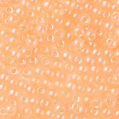 6/0 имитация бисера нефрита&nbsp;SEED-N004-006-24