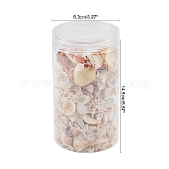 Наборы бусин из натуральных морских ракушек SSHEL-PH0002-49