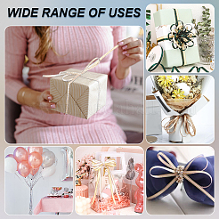 Полиэфирные ленты SRIB-WH0011-219A-01