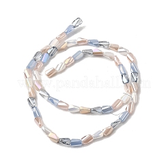 Гальванические стеклянные бусины&nbsp;EGLA-D300-01A-05