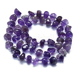 天然石アメジストビーズ連売り  チップ  7~8x7~8x3~5mm  穴：1mm  約60個/連  15.35''（39センチメートル）&nbsp;G-K245-H18-05