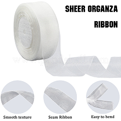1 Rolle transparentes Organzaband&nbsp;SRIB-CY0001-22B-03