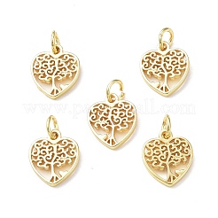 Стойки обшивки латунные подвески KK-F849-03G