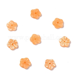 Бусины из натуральных пресноводных ракушек&nbsp;SHEL-C001-15B