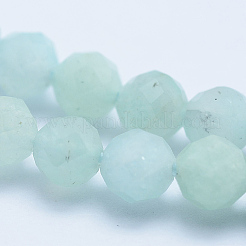 Chapelets de perles en amazonite naturelle&nbsp;LS-G-E411-43-4mm
