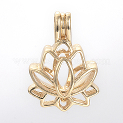 Литые диффузор Locket подвески PALLOY-S062-40G