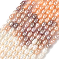 Нити из натурального культивированного пресноводного жемчуга&nbsp;PEAR-C004-14B