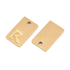 Ciondoli in acciaio inox 304&nbsp;SA-CBA1839-21G-R
