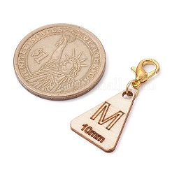 Деревянные подвесные украшения HJEW-JM01796