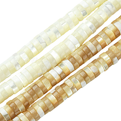 1 нить натуральных бусин из ракушек трохид/трохус&nbsp;SSHEL-YW0001-12A