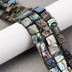 Природные пауа бусы нити BSHE-ZX006-07C